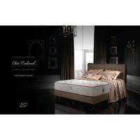King Koil Chiro Endorsed New Series Hanya Kasur 180x200cm - Gratis Kirim Jabodetabek