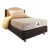 Alga Hanya Kasur Springbed Acor Hotel Collection 90x200cm - Gratis Kirim Khusus Jakarta, Tangerang & Depok