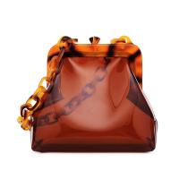 NEW Transparent PVC Acryclic Frame Bag - Brown