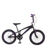 Sepeda BMX 20 Go BMX Ungu Free Ongkir Jabodetabek