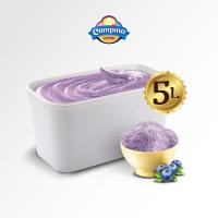 ICE CREAM CAMPINA 5 LITER BLUEBERRY - ES KRIM (Gratis Ongkir Jabodetabek, Bandung, Surabaya)