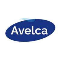 Avelca Hand Wash Strawberry 250ML (Khusus Pulau Jawa)