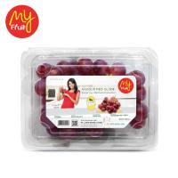 My Fruit Anggur Red Globe USA 500 gr (JABODETABEK ONLY)