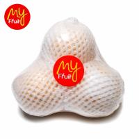 My Fruit Pear Century buah isi 3 pcs (JABODETABEK ONLY)