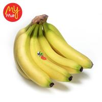 My Fruit Cavendish Banana ( My Fruit x Yellow Cluster) (JABODETABEK ONLY)