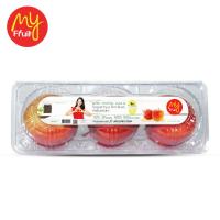 My Fruit Apel Royal Gala isi 3 pcs (JABODETABEK ONLY)