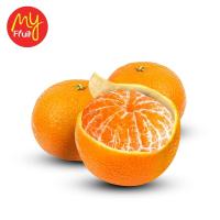 My Fruit Jeruk Freemont 800 gr (JABODETABEK ONLY)