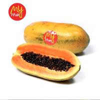 My Fruit Pepaya California USA 1 Pcs (JABODETABEK ONLY)