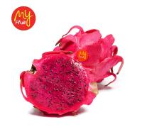 My Fruit Buah Naga 1 pcs (JABODETABEK ONLY)