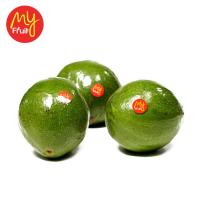 My Fruit Alpukat Mentega 1 Kg (JABODETABEK ONLY)