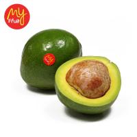 My Fruit Alpukat Mentega 1 Kg (JABODETABEK ONLY)