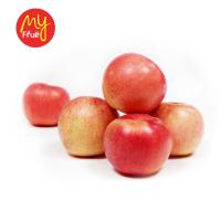 My Fruit Apel Fuji China 800 gr (JABODETABEK ONLY)