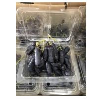 My Fruit Anggur Hitam Sweet Saphire 500 gr (JABODETABEK ONLY)