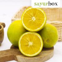 Sayurbox Jeruk Java Conventional 500 gram (JABODETABEK ONLY)