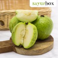 Sayurbox Jambu Kristal Conventional 500 gram (JABODETABEK ONLY)
