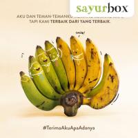 Sayurbox Pisang Raja Bulu Imperfect 1 sisir (JABODETABEK ONLY)