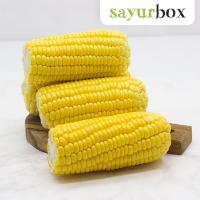 Sayurbox Jagung Manis Kupas Conventional 2 pcs (JABODETABEK ONLY)
